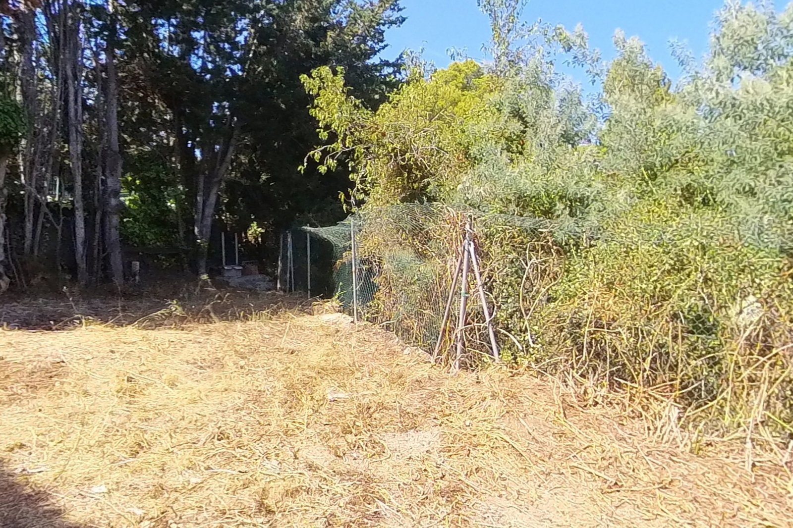 Parcela de 700 m² sin edificar